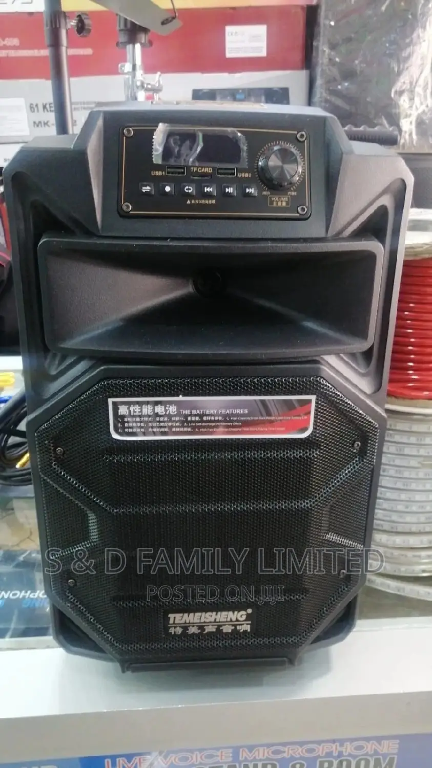 Temeisheng 10 Inch Powered Speaker