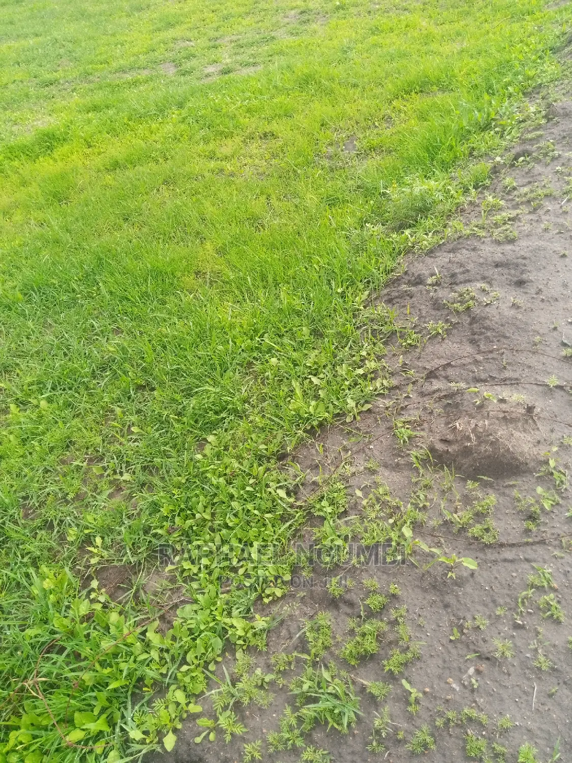 5 Acres at Machakos Kinanie