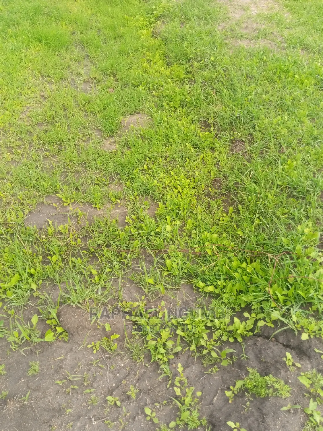 5 Acres at Machakos Kinanie