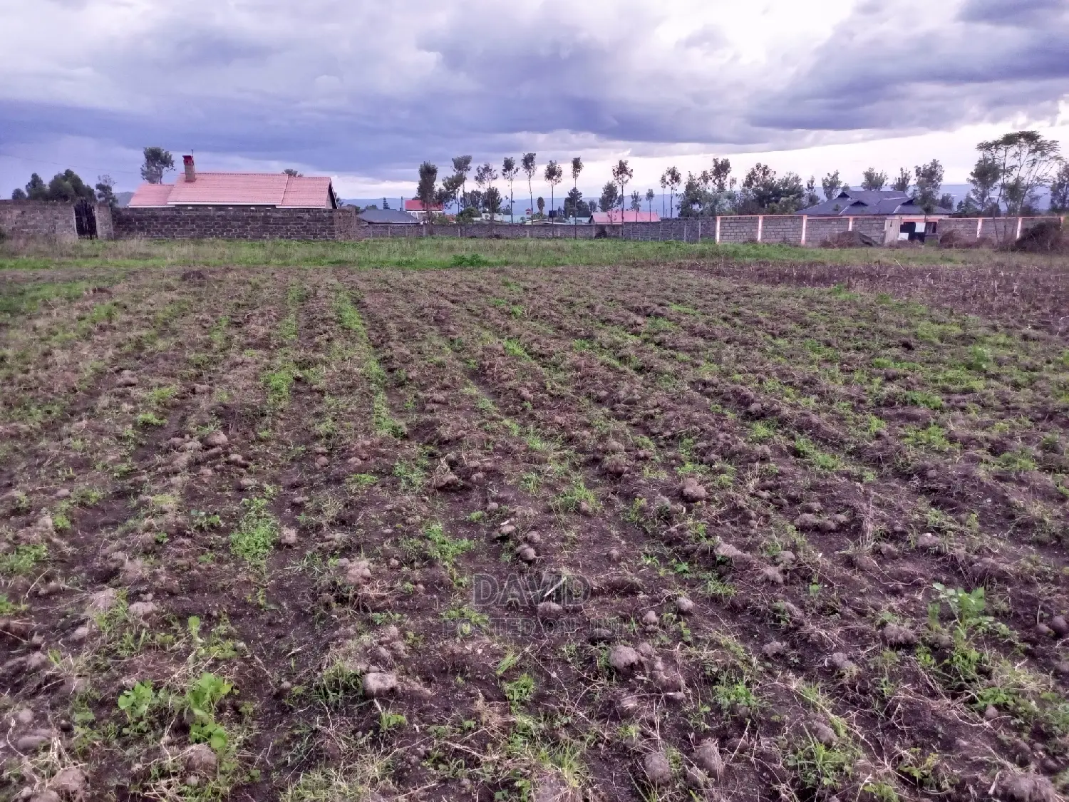 Plots for Sale in Lower Mawanga