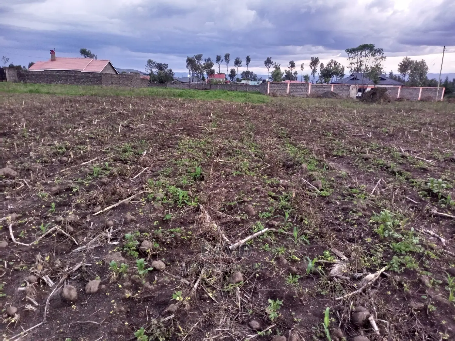 Plots for Sale in Lower Mawanga