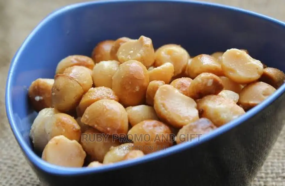 Roasted Salted Macadamia Nuts