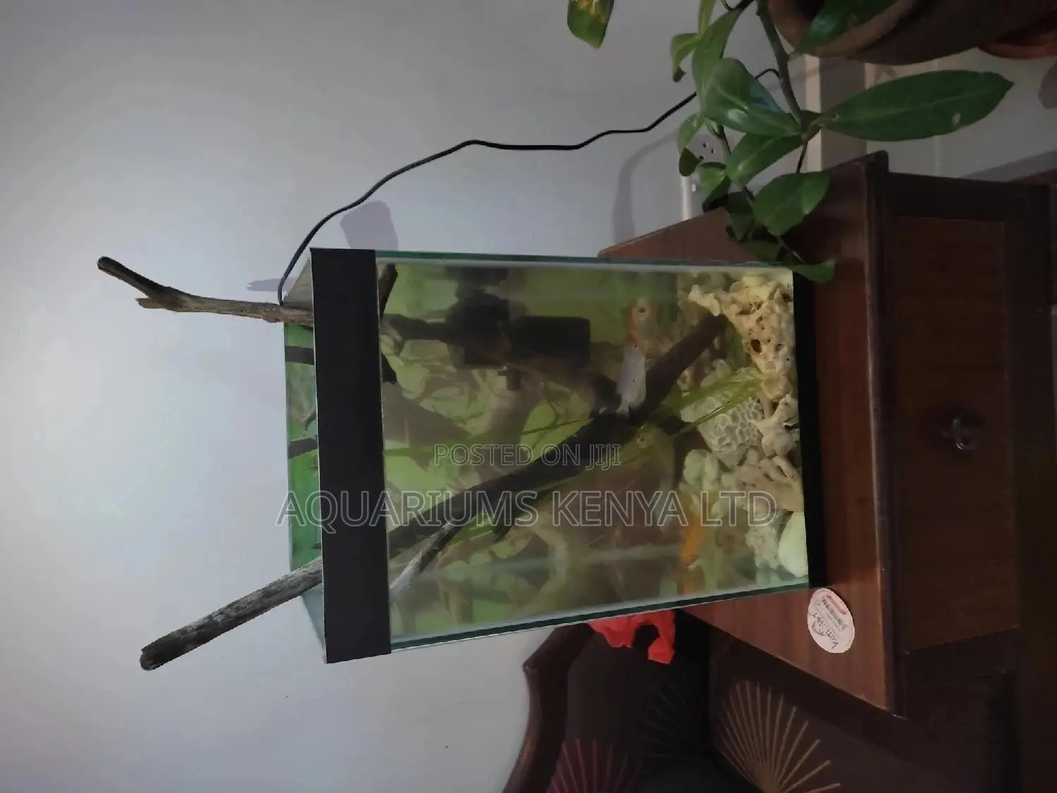 Mini Tower Aquarium