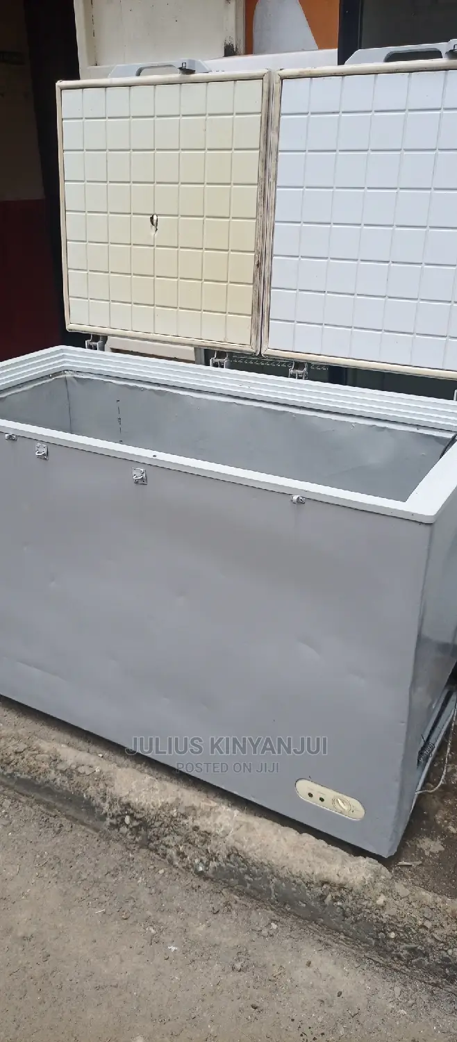Double Door Freezer