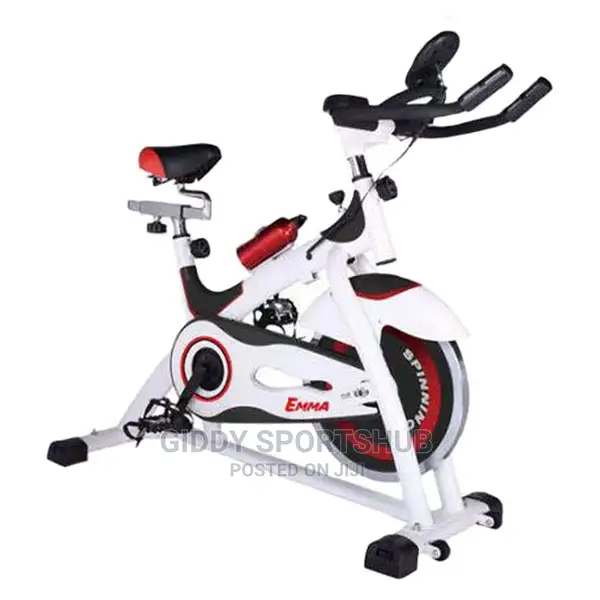 13kg Flywheel Spin Bike