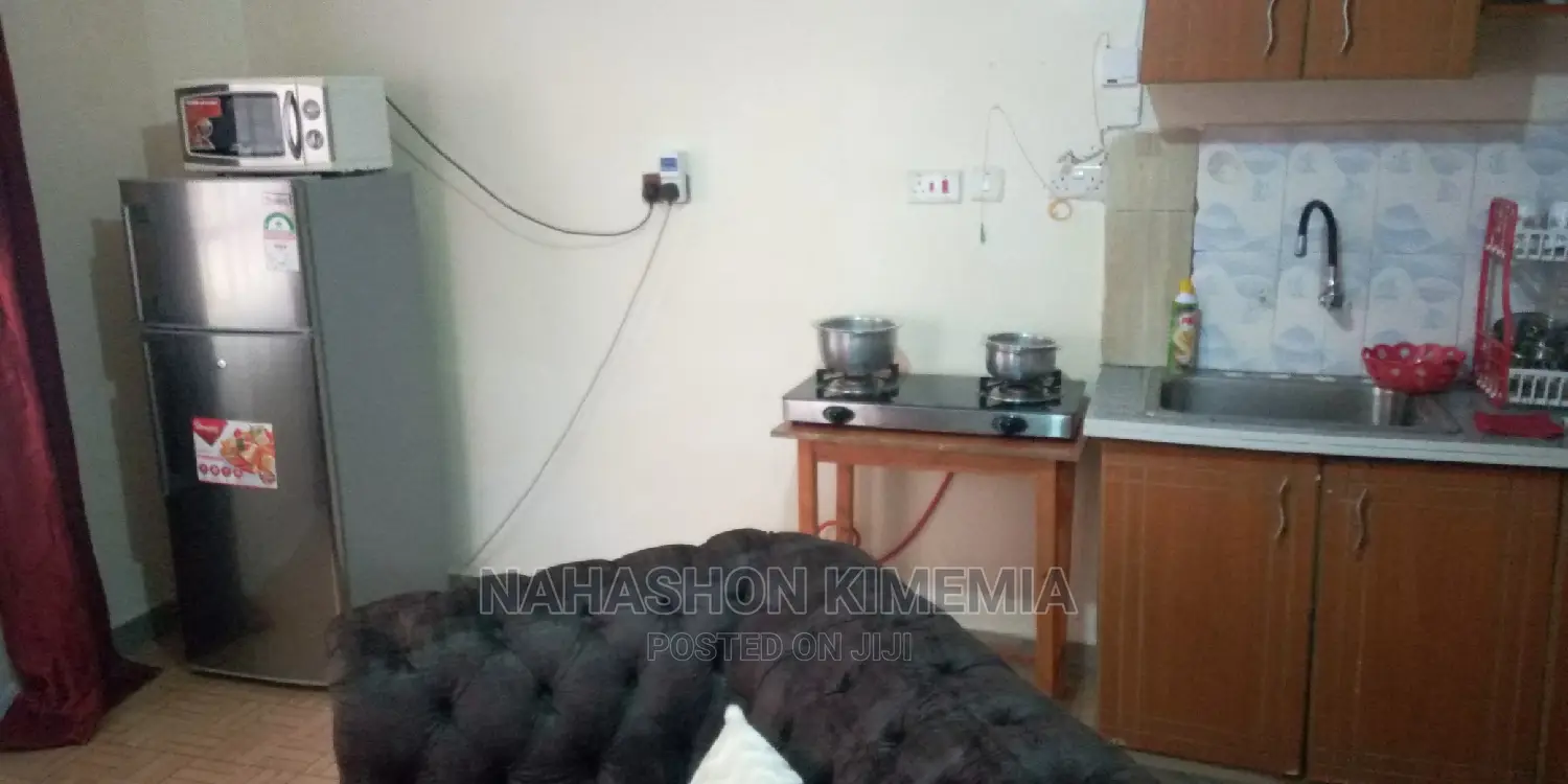 Latest Airbnb Studio TRM Drive Roysambu Thika Road