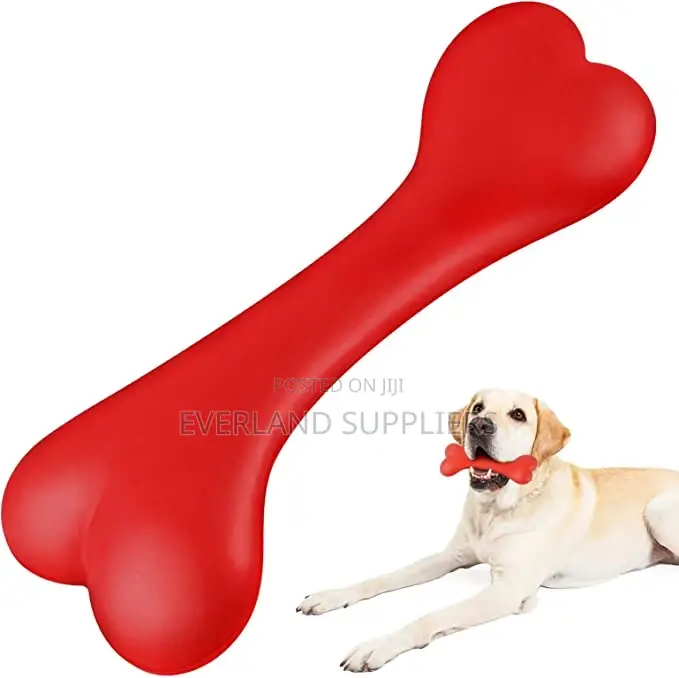 Pet Bone Toy