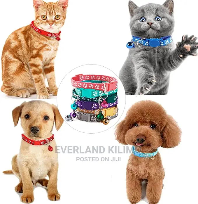Cat/Dog Collar