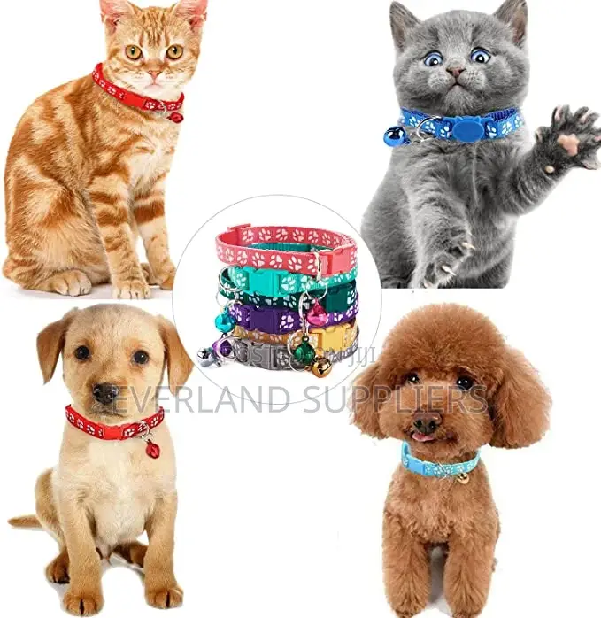 Cat/Dog Collar