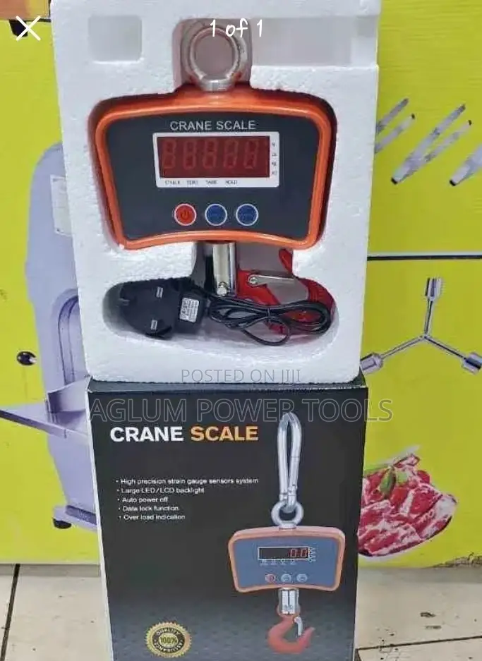 500kg Crane Scale