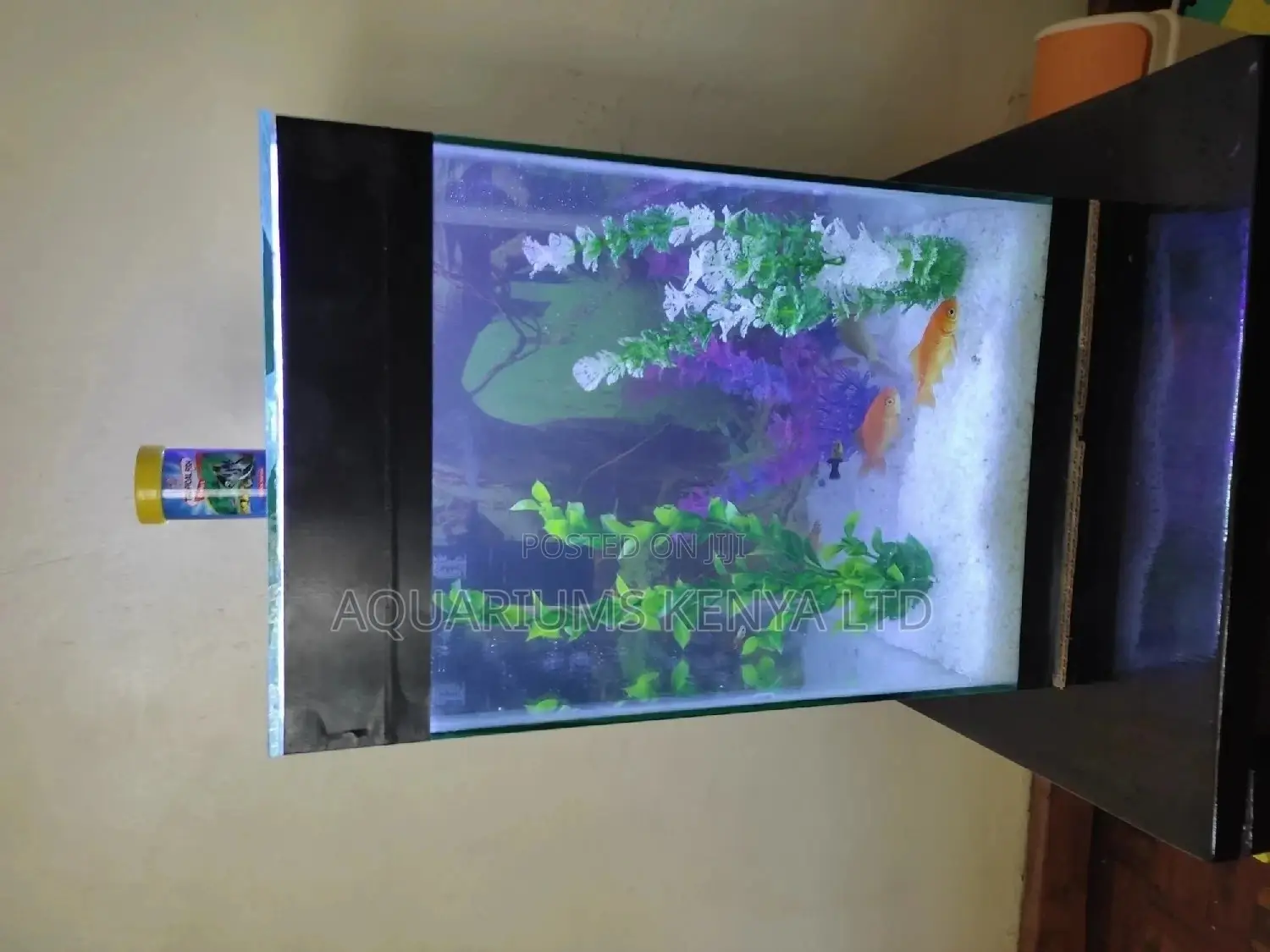 Small Tower Aquarium, Complete Aquarium