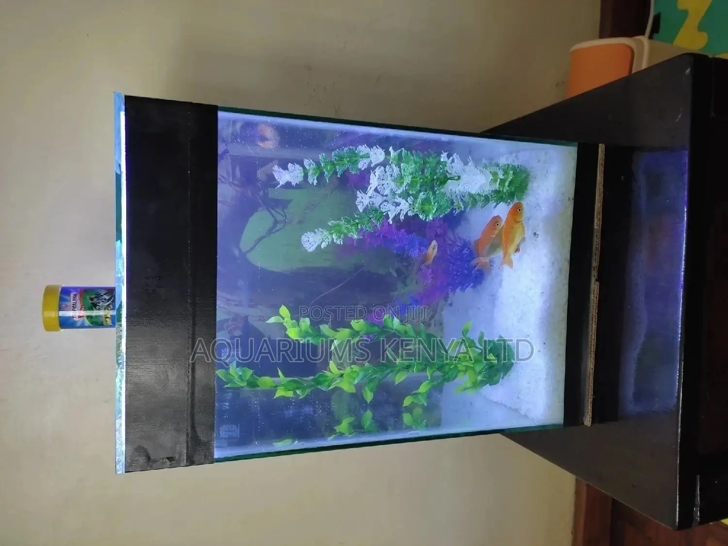 Complete Tower Aquarium ,Small and Cute Aquarium