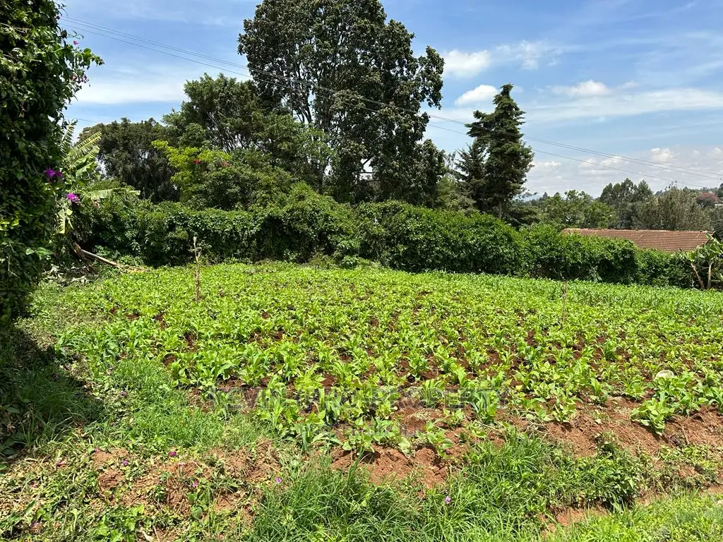 Prime Commercial Plot in Kikuyu Town.