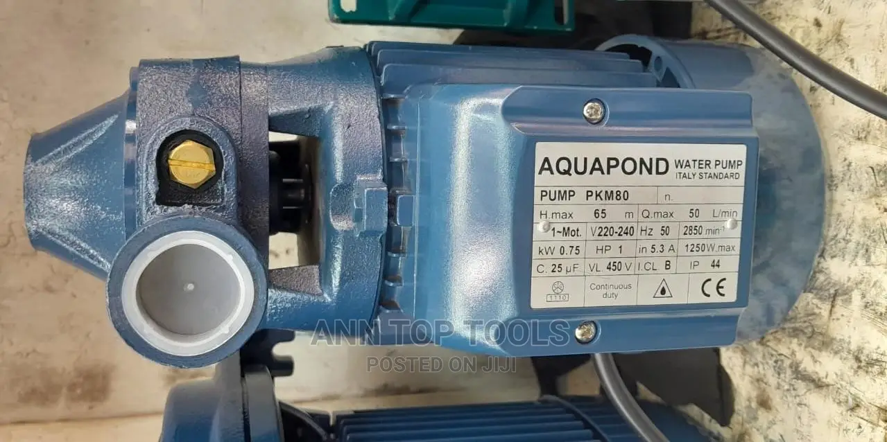 Aquapond Water Booster Pump 1hp 65m Pkm80