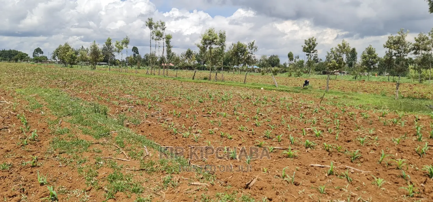 1⁄2 Acre Land for Sale in Outspan Eldoret