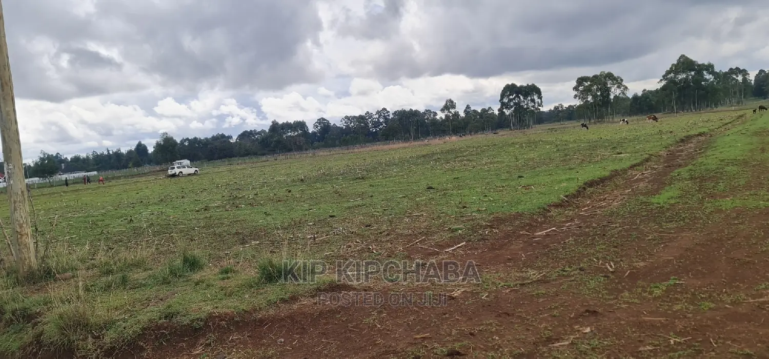Prime Plot for Sale in Illula Eldoret