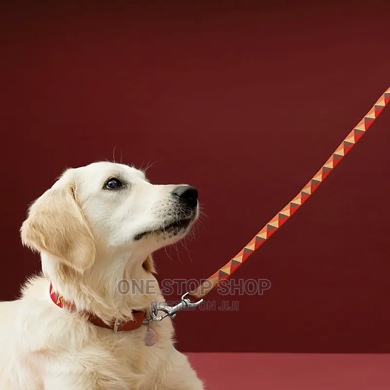 New Dog Leash