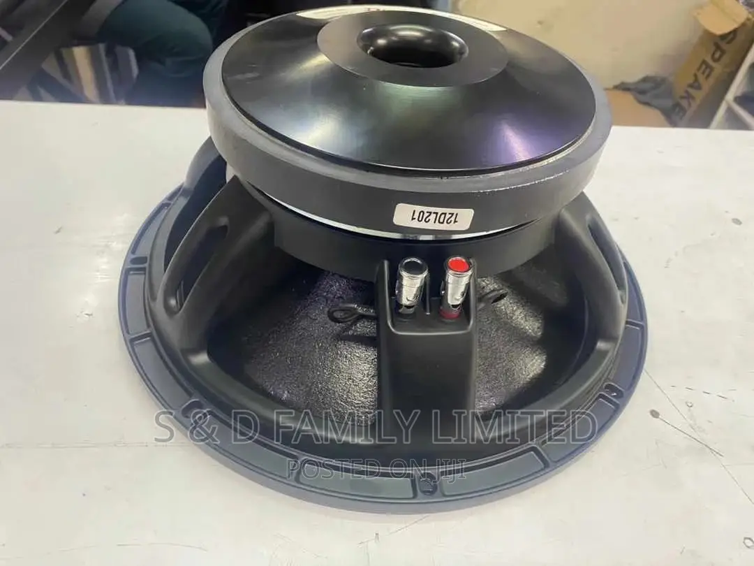Derwel 12 Inch Naked Speaker 12DL201