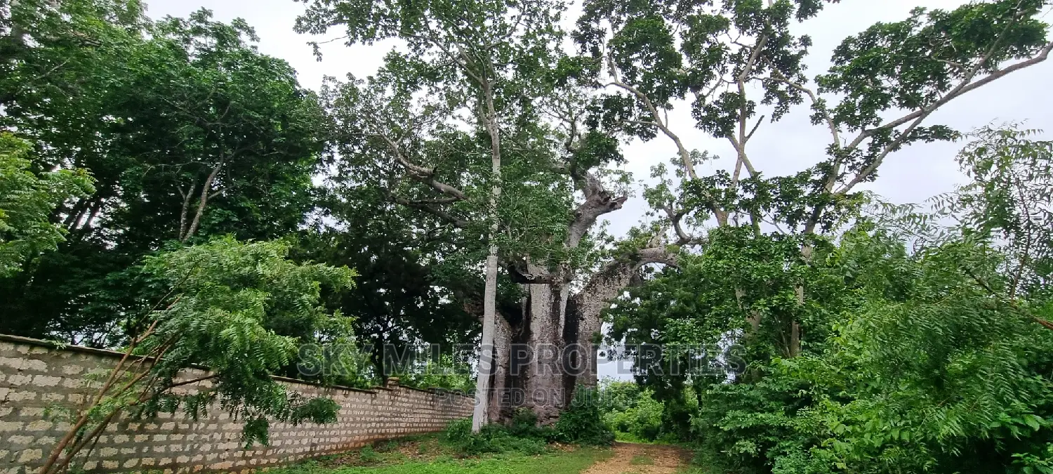 Kuruwitu Vipingo,10 Acre on Sale