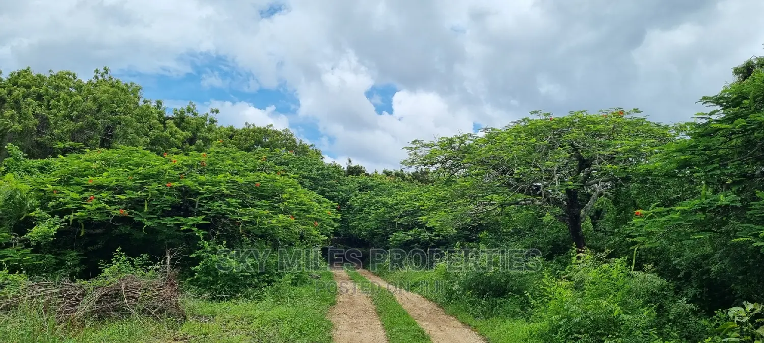 Land on Sale,Kuruwitu Vipingo