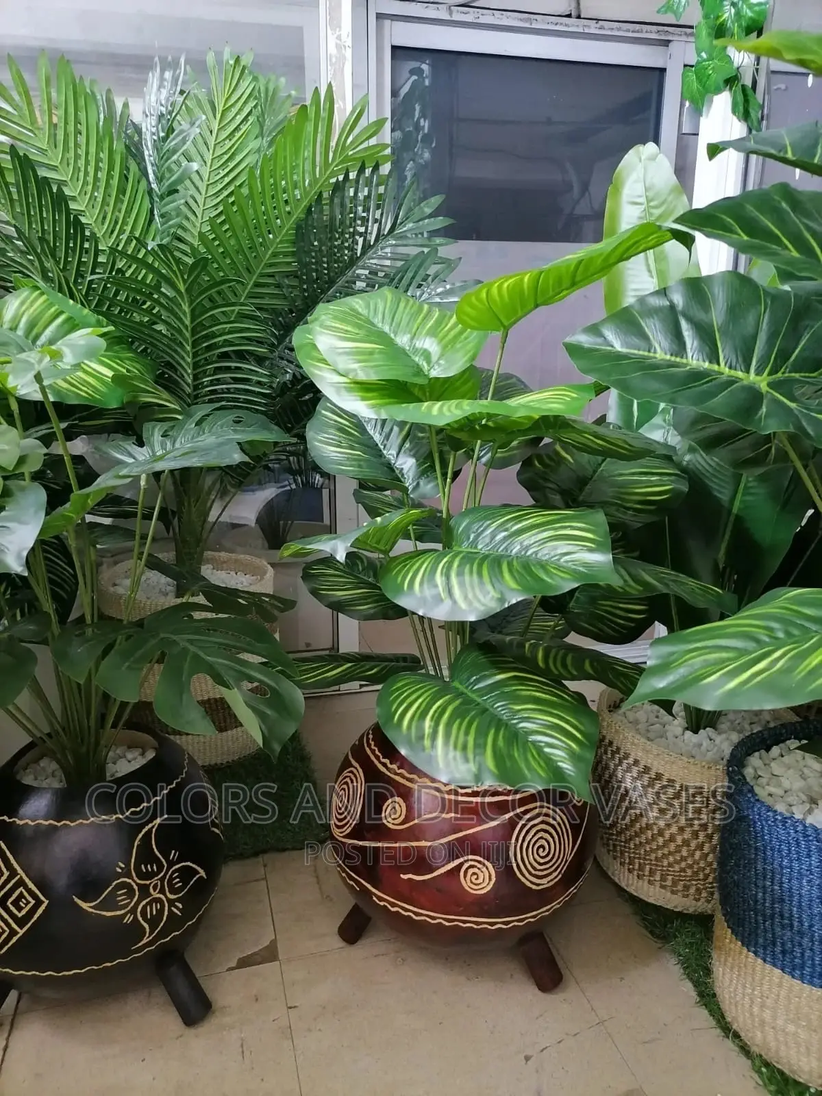 Plants and Calabashes
