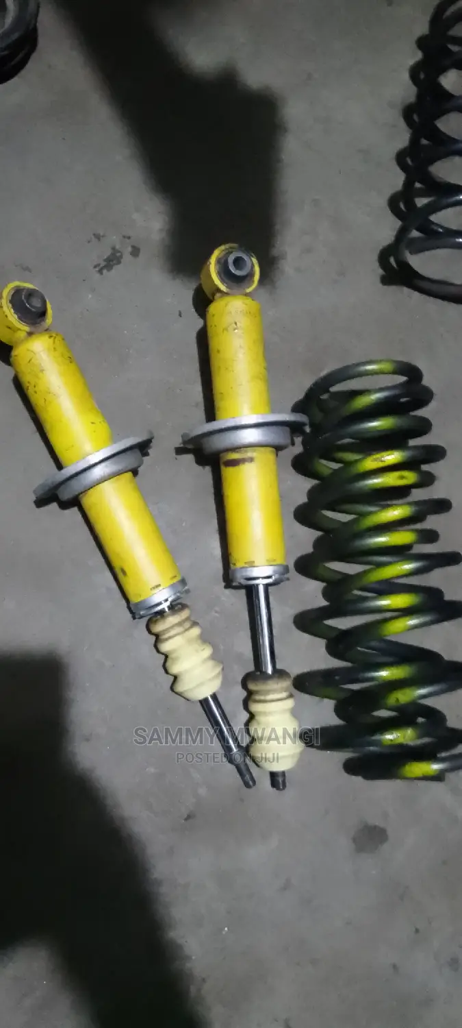 Subaru Br9 Legacy Rear Shocks and Springs