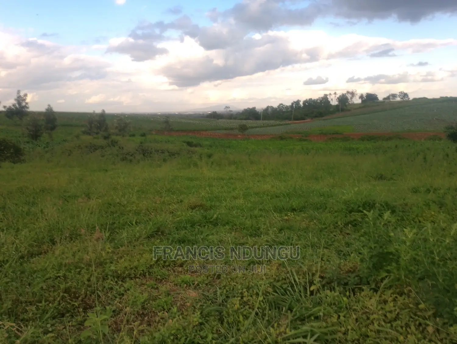 Matrofi Estate Plots for Sale Along Kirigiti Lioki Rd.