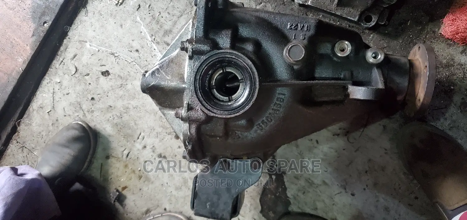 Back Differential Pajero Shogan