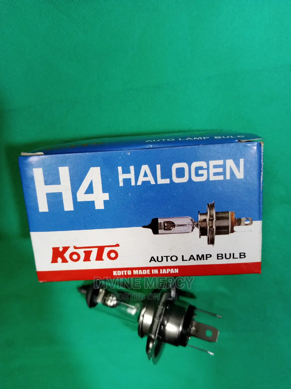 H4 Halogen Bulbs