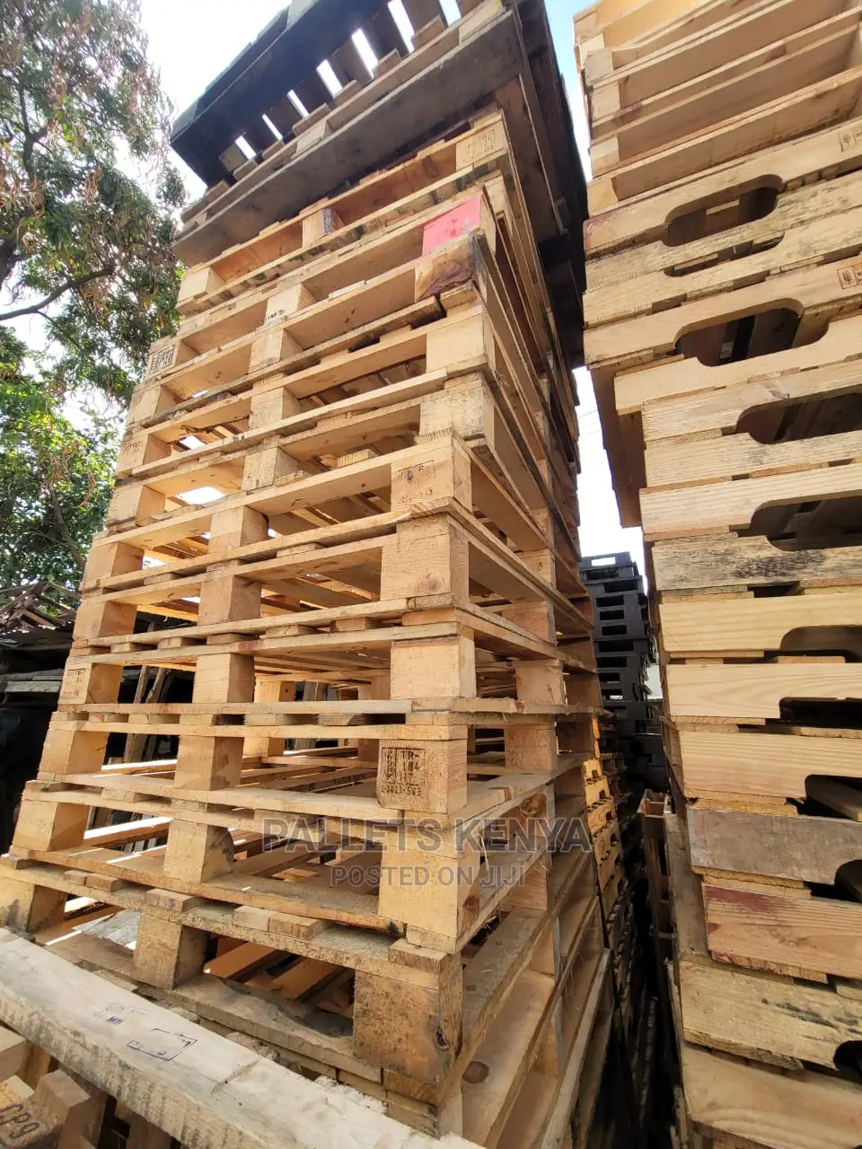 Wooden Pallets- ORF