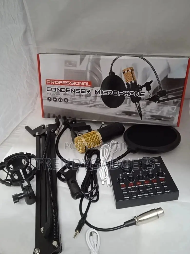 Condenser Microphone Set +V8 Sound Card Amplifier Voice Chan