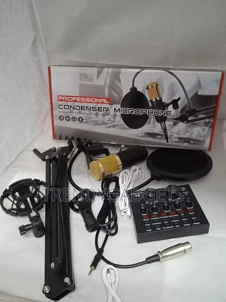 Bm800 Professional Condenser Studio Microphone V8 Sound