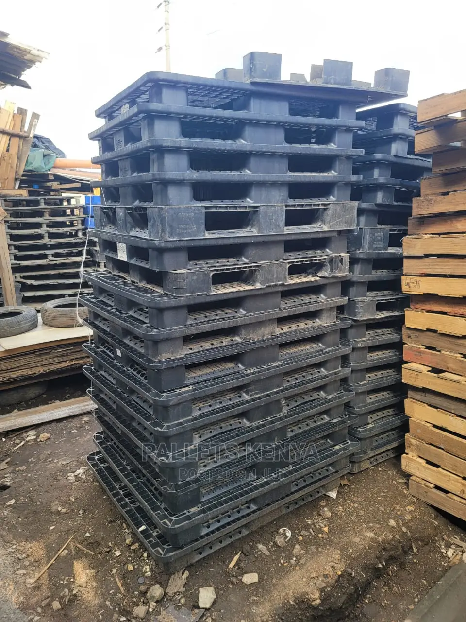 Plastic Pallets- FGS