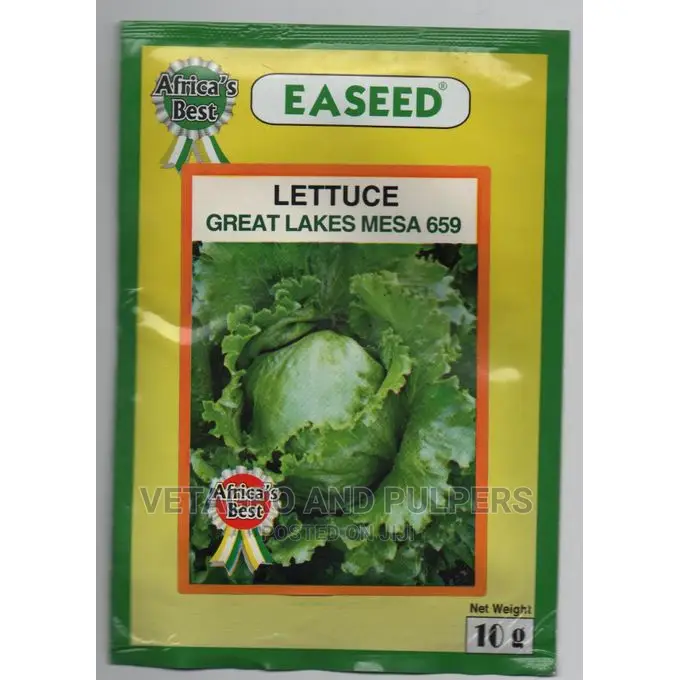 Lettuce Great Lakes Mesa 659 Seeds 10gm