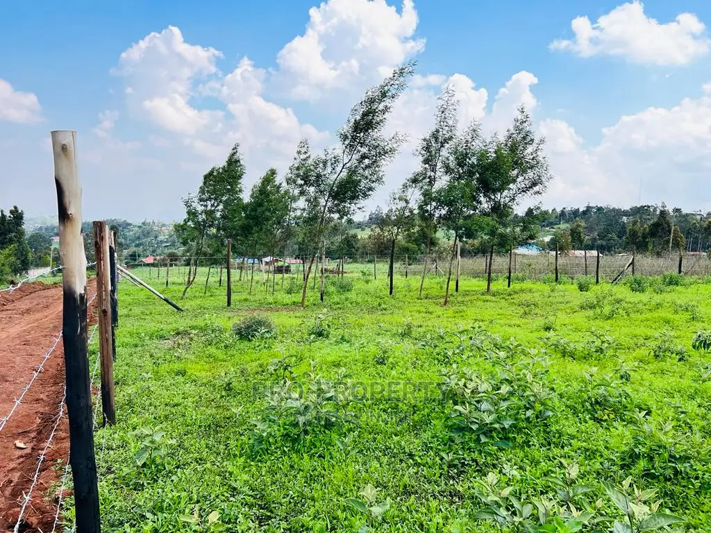 Prime 1/8 Acre Residential Plots for Sale in Kikuyu, Kamangu
