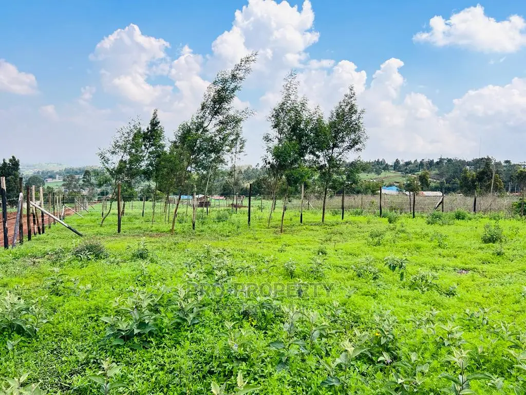 Prime 1/8 Acre Residential Plots for Sale in Kikuyu, Kamangu