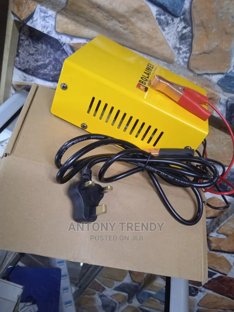 Bolaimei Trendy Automatic Intelligent Car Battery Charger
