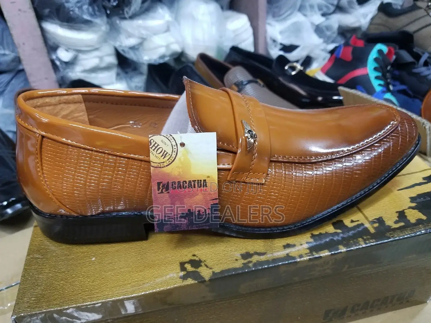 Cacatua Brown Men Official Shoes