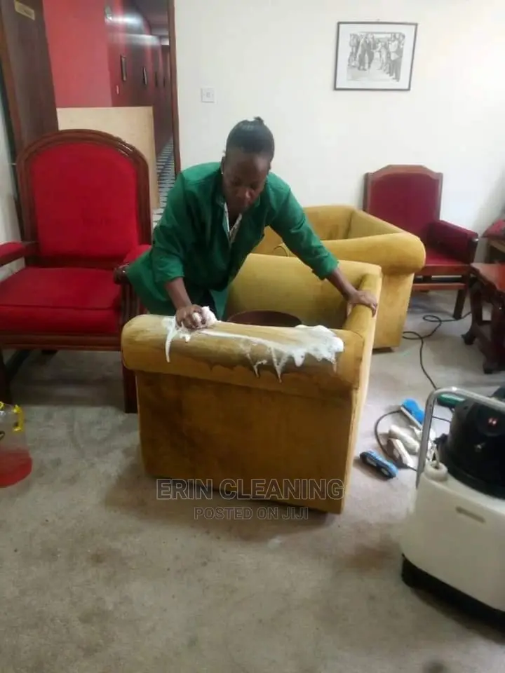 Fast Drying Sofa Cleaning