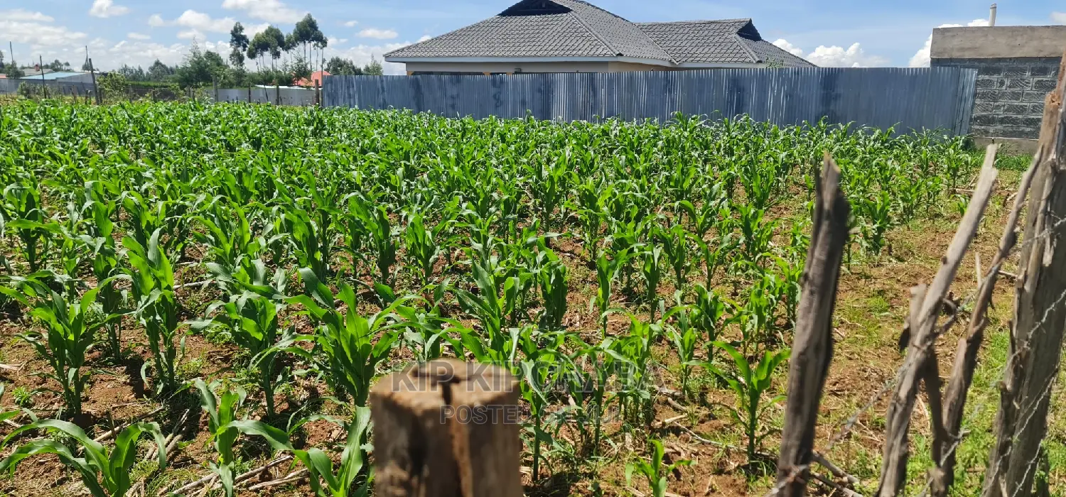 1⁄8 Plot for Sale in Sogomo Chepkoilel Eldoret