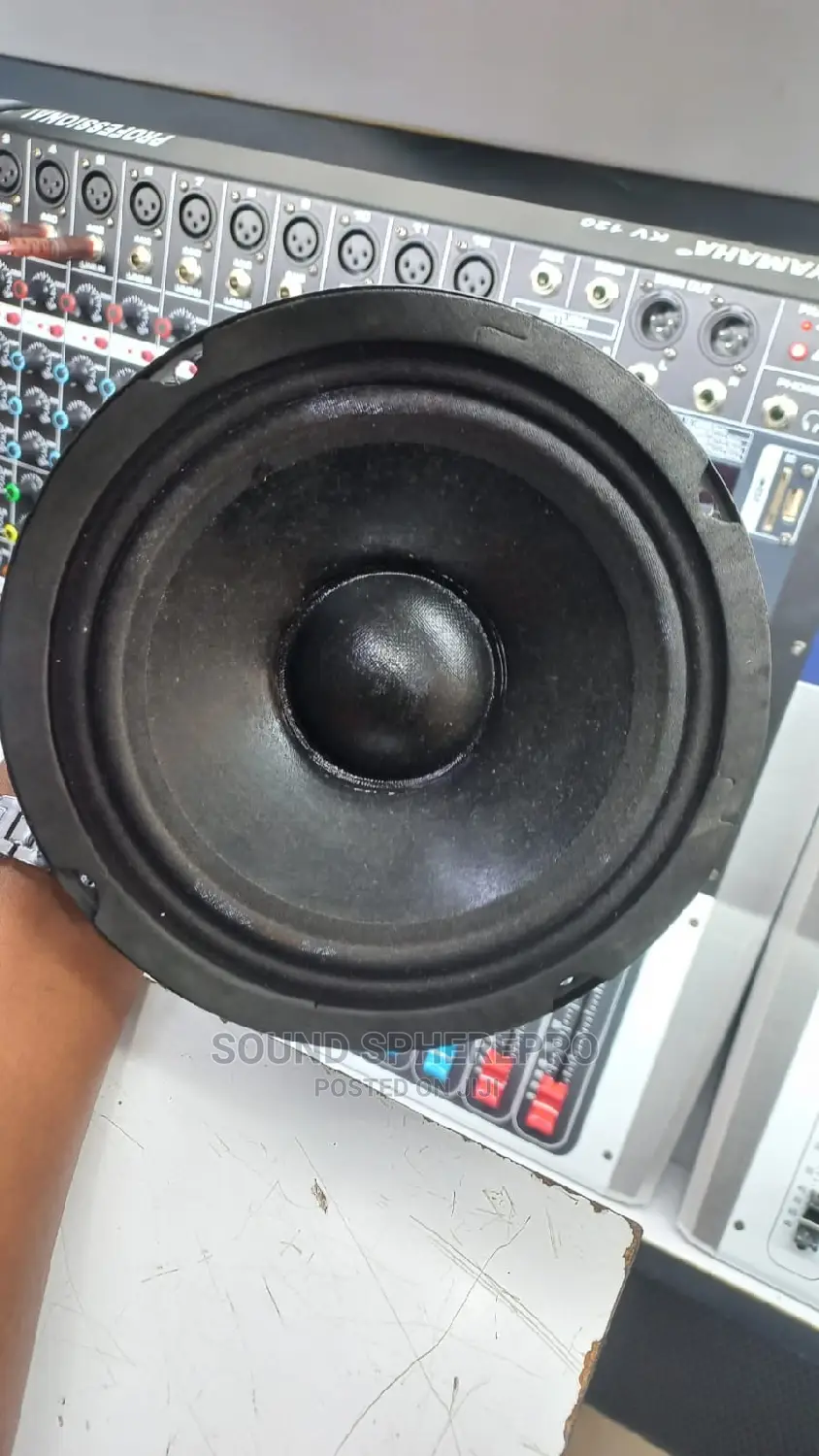 Derwel 6inch Naked Speaker