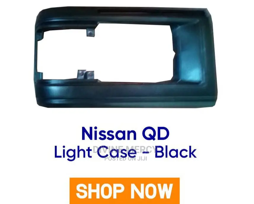 Light Case/Grills Nissan