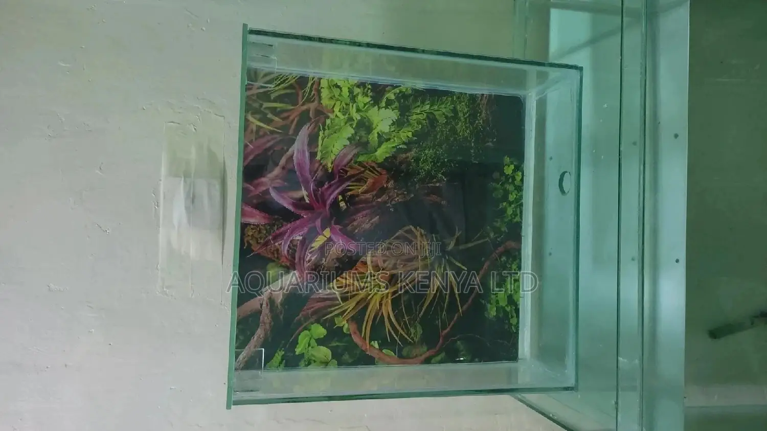 Wall , 45cm by 45cm , Wall Aquarium