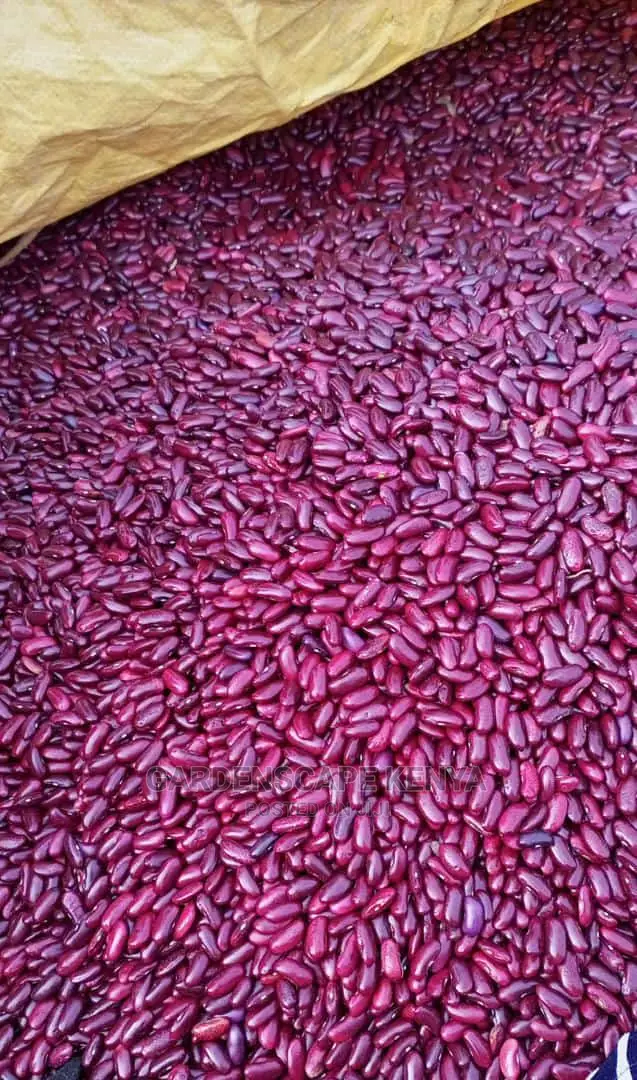 Red Kidney Beans