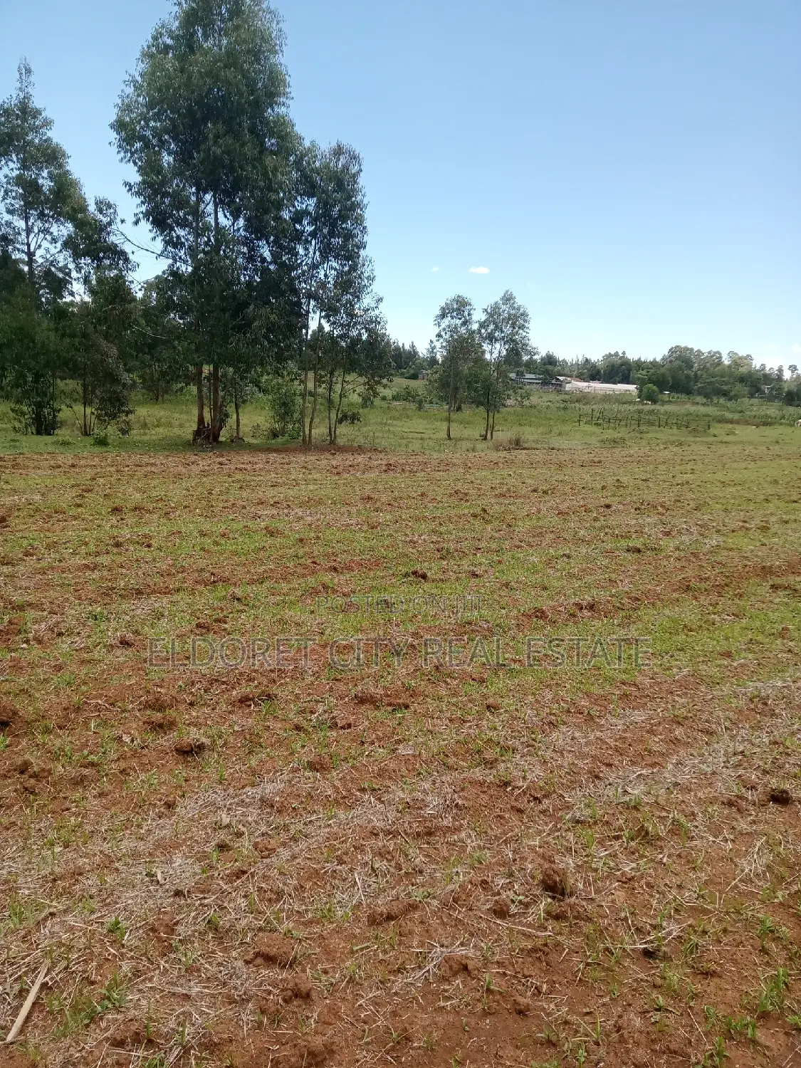 65 Acres Cheplasgei With Title