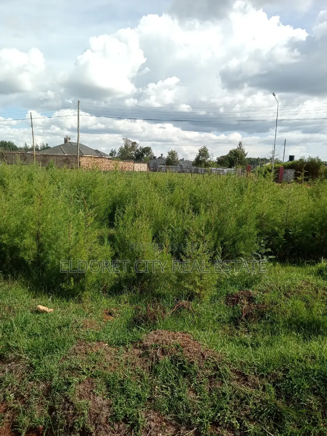 1/8 Plots Marriott With Title.