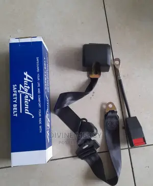 Safety Seat Belt