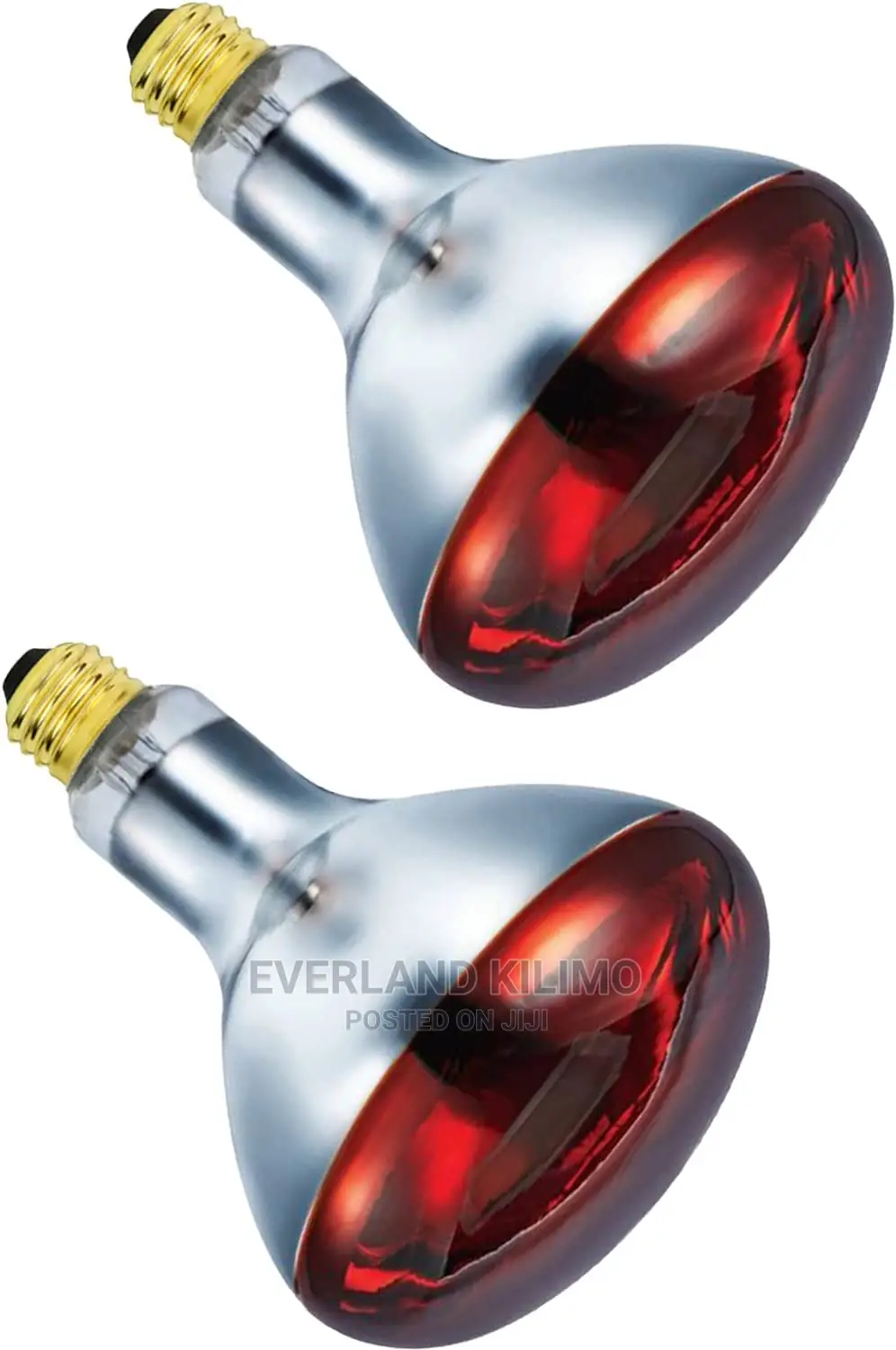 Infrared Brooding Bulb