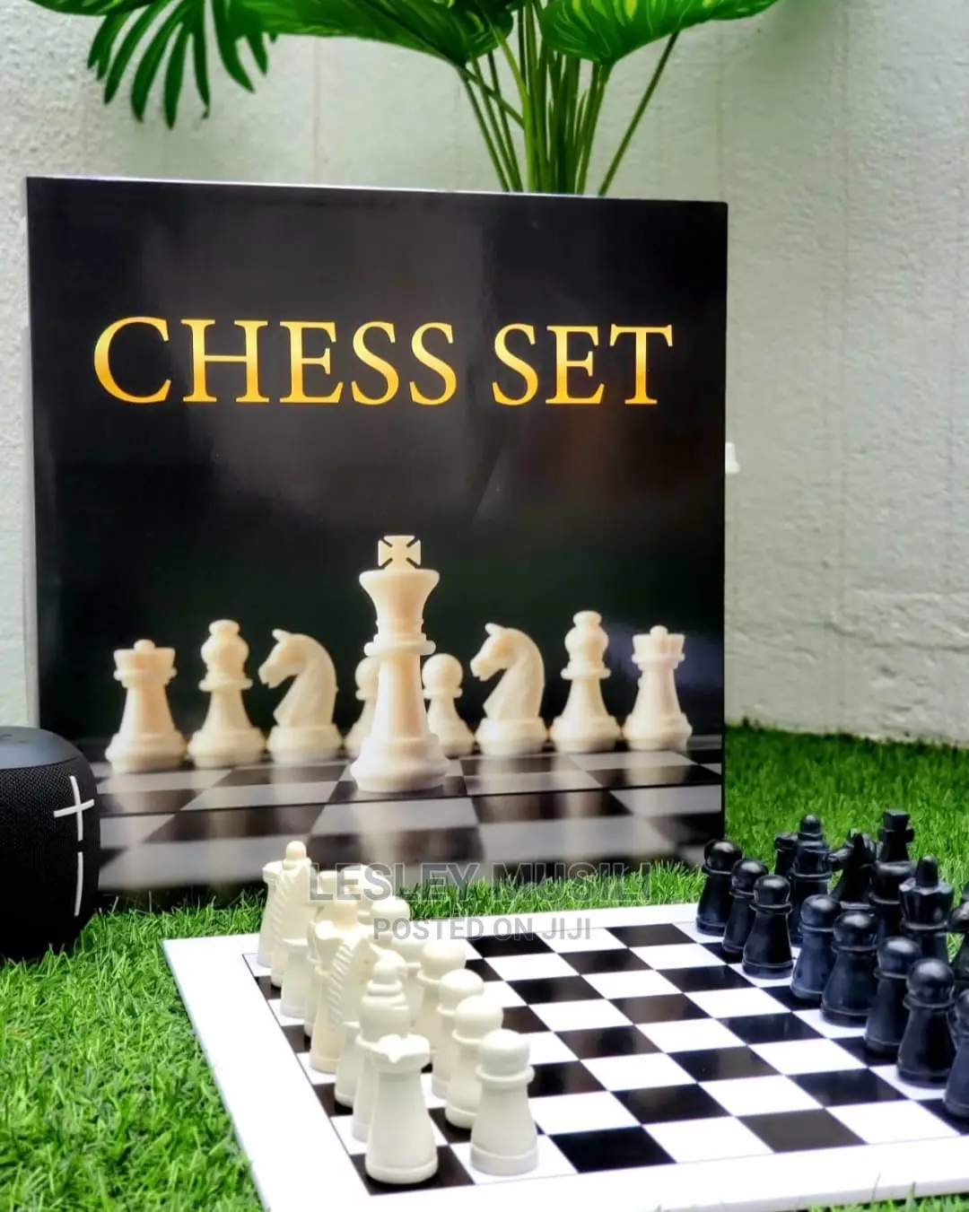 Soapstone Chess Set