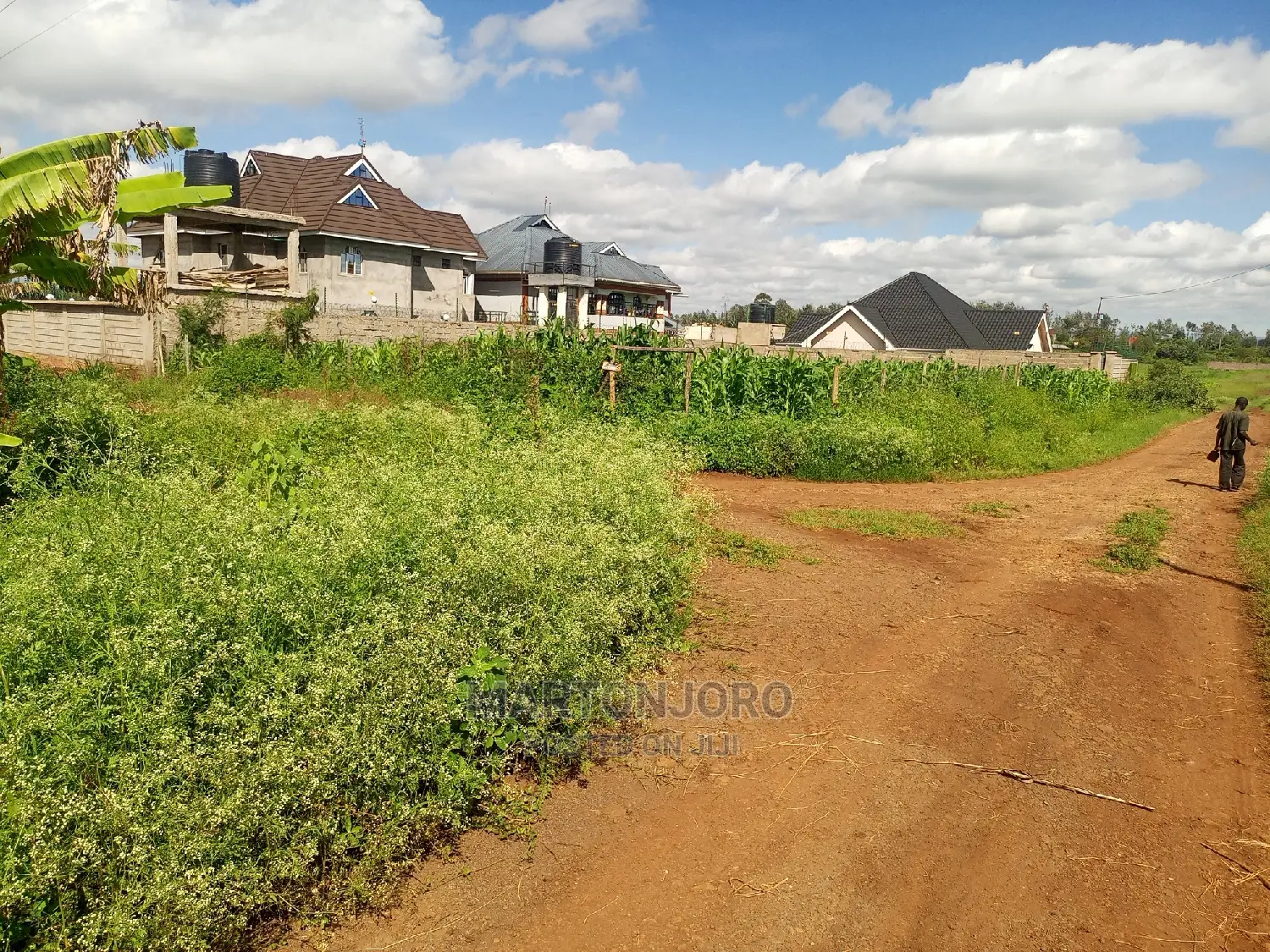 50 by 100 in Ruiru ( Mugutha)